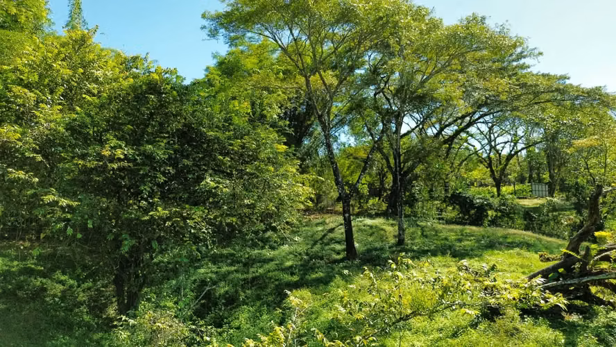 Lote tranquilo de 5000 m2 - Naturaleza exuberante y potencial de desarrollo - A 10 minutos de Santa Teresa