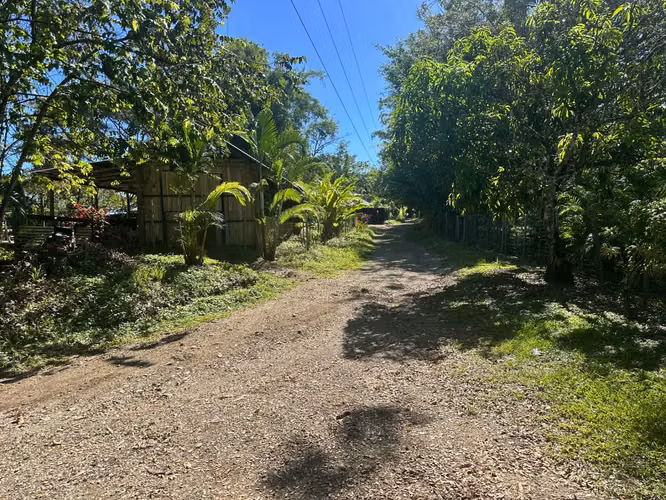 Lote tranquilo de 5000 m2 - Naturaleza exuberante y potencial de desarrollo - A 10 minutos de Santa Teresa - Imagen 5
