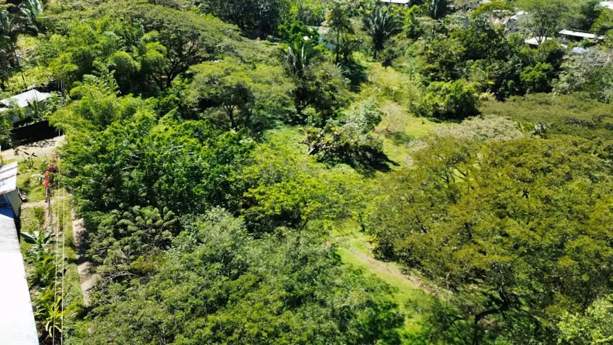 Lote tranquilo de 5000 m2 - Naturaleza exuberante y potencial de desarrollo - A 10 minutos de Santa Teresa - Imagen 2