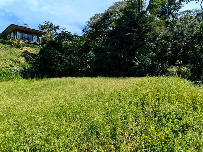 Lote con vista al mar en Mal País - Imagen 5