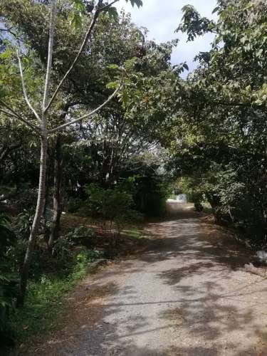 Hermoso lote en Santa Ana para Desarrollador - Imagen 5