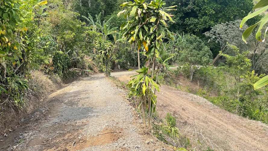 TERRENO EN VENTA EN ATENAS, ALAJUELA - Imagen 17