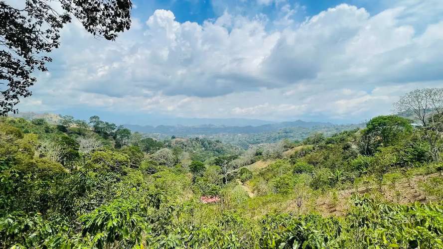 TERRENO EN VENTA EN ATENAS, ALAJUELA - Imagen 19