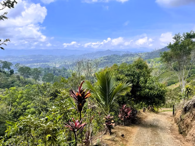 TERRENO EN VENTA EN ATENAS, ALAJUELA - Imagen 4