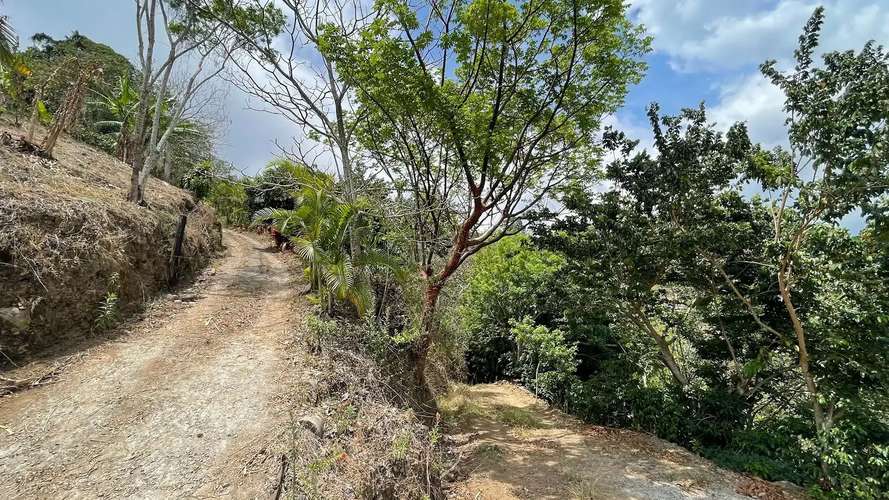 TERRENO EN VENTA EN ATENAS, ALAJUELA - Imagen 15