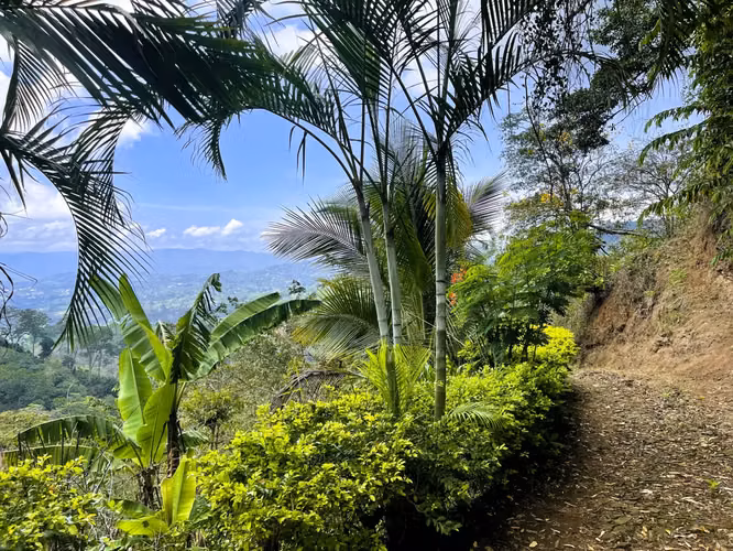 TERRENO EN VENTA EN ATENAS, ALAJUELA - Imagen 2