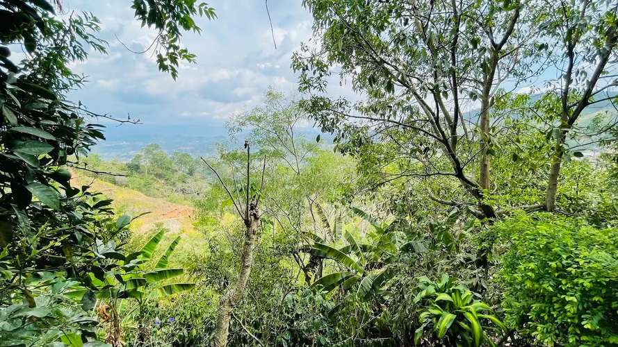 TERRENO EN VENTA EN ATENAS, ALAJUELA - Imagen 6