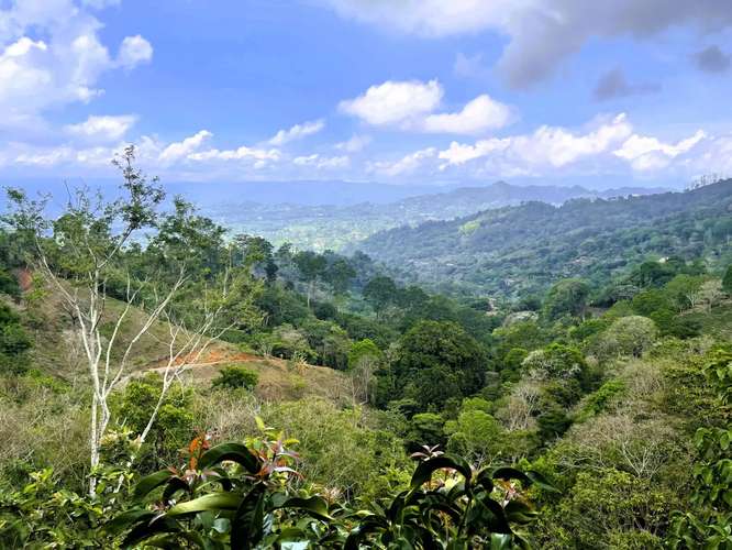 TERRENO EN VENTA EN ATENAS, ALAJUELA - Imagen 9