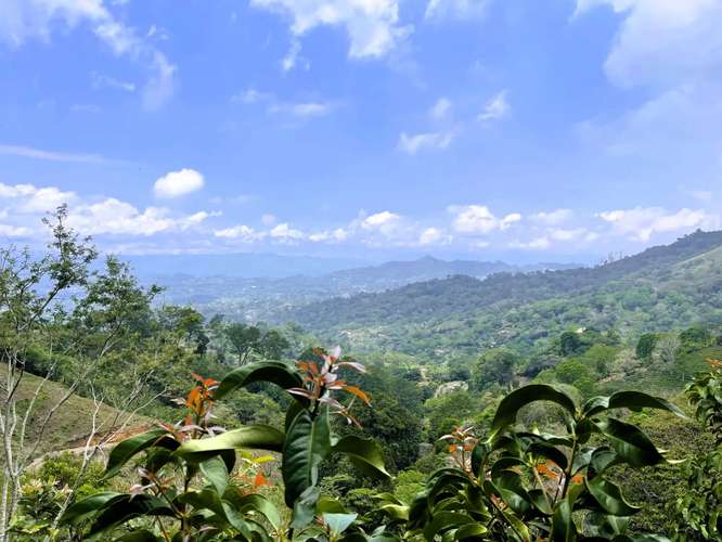 TERRENO EN VENTA EN ATENAS, ALAJUELA - Imagen 5