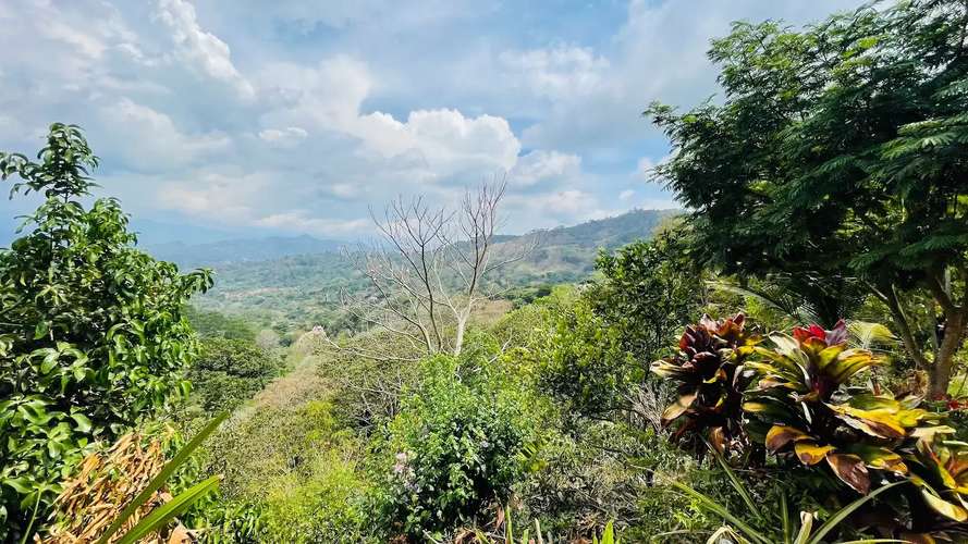 TERRENO EN VENTA EN ATENAS, ALAJUELA - Imagen 8