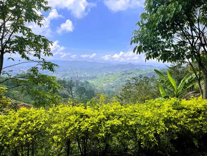 TERRENO EN VENTA EN ATENAS, ALAJUELA - Imagen 2
