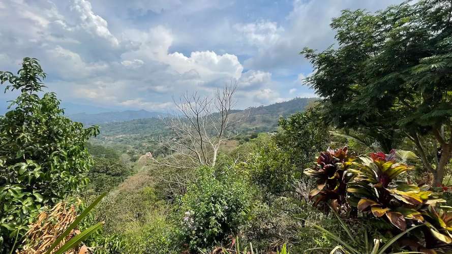TERRENO EN VENTA EN ATENAS, ALAJUELA - Imagen 16