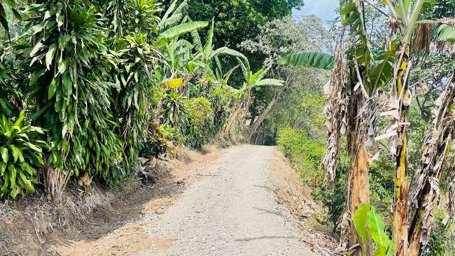 TERRENO EN VENTA EN ATENAS, ALAJUELA - Imagen 14