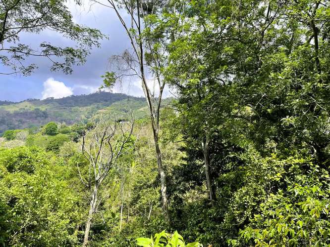 TERRENO EN VENTA EN ATENAS, ALAJUELA - Imagen 7