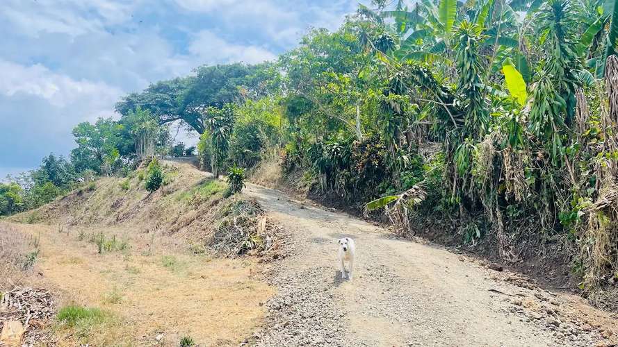 TERRENO EN VENTA EN ATENAS, ALAJUELA - Imagen 12