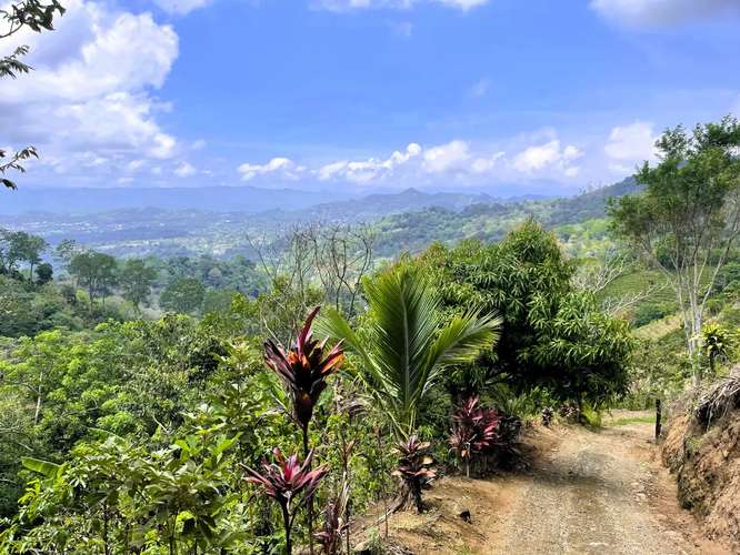 TERRENO EN VENTA EN ATENAS, ALAJUELA - Imagen 4