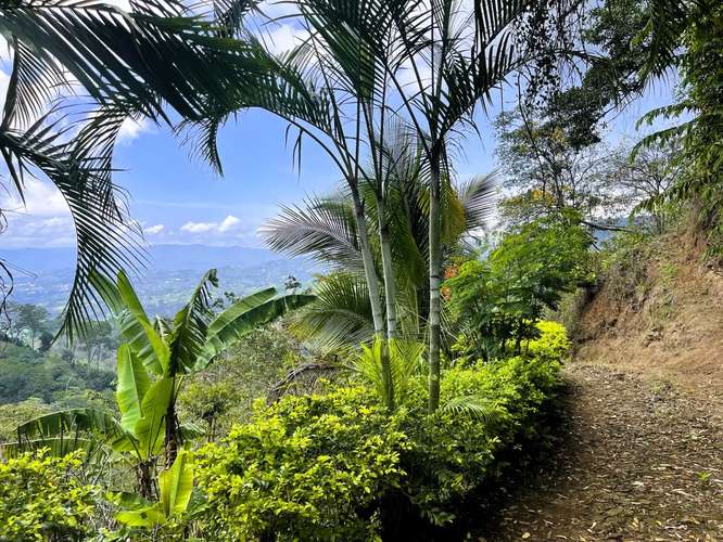 TERRENO EN VENTA EN ATENAS, ALAJUELA