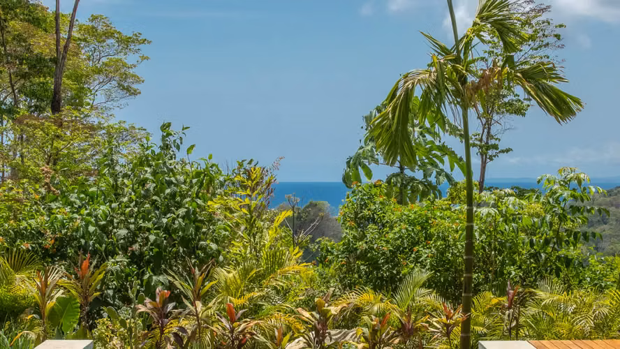 Villa con vista al mar diseñada por arquitecto | Piscina infinita, entorno de selva e ingresos por alquiler comprobados | Santa Teresa, Costa Rica - Imagen 20