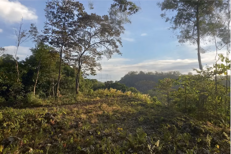 Propiedad con vista al mar en venta en Santa Teresa, Costa Rica - Imagen 4