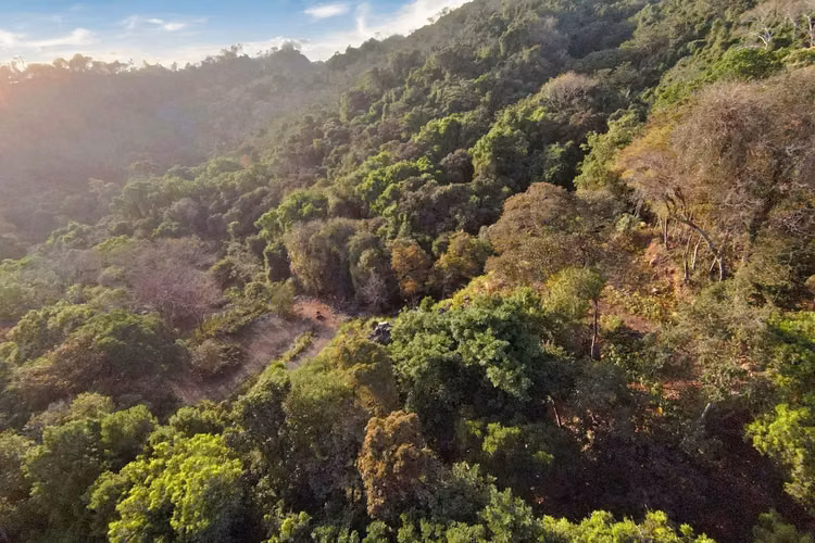 Propiedad con vista al mar en venta en Santa Teresa, Costa Rica - Imagen 5