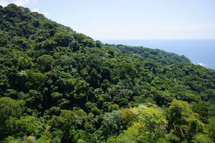 Terreno de desarrollo de primera calidad en comunidad cerrada, Playa Agujas - Imagen 7