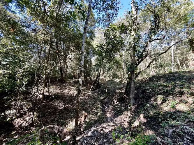 Invierta en la naturaleza: lotes privados de selva de 5.000 m² en Mal País, a minutos de la playa - Imagen 3
