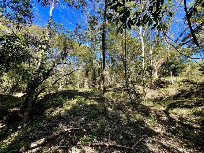 Invierta en la naturaleza: lotes privados de selva de 5.000 m² en Mal País, a minutos de la playa - Imagen 2