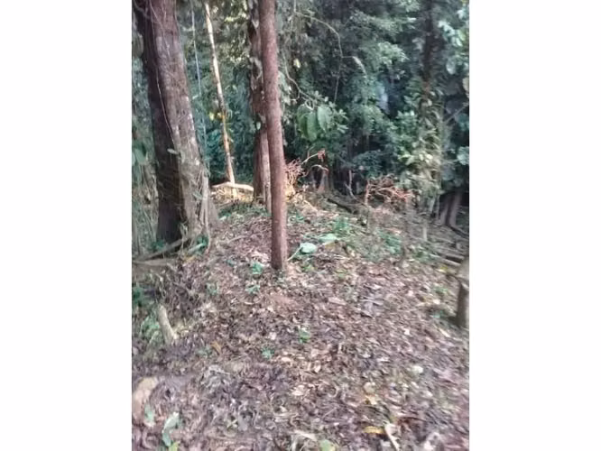 Oasis Natural en Quepos - Imagen 3