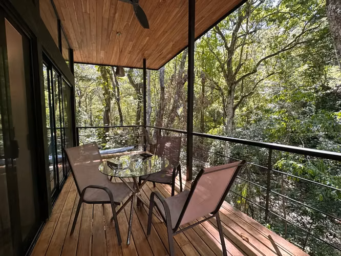 Retiro en la selva generador de ingresos, 2 casas en Santa Teresa - Imagen 16