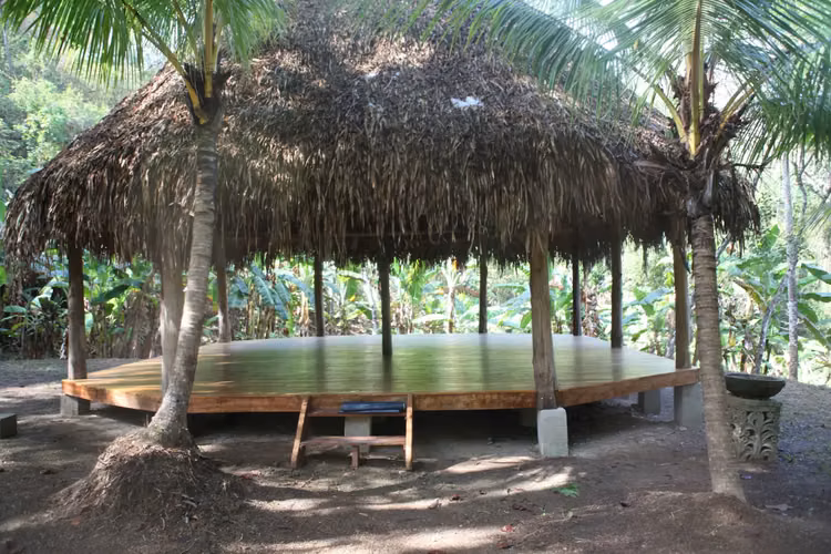 Casi 90 hectáreas de belleza selvática intacta con impresionantes vistas al mar, a pasos de la playa en la Zona Azul de Costa Rica.