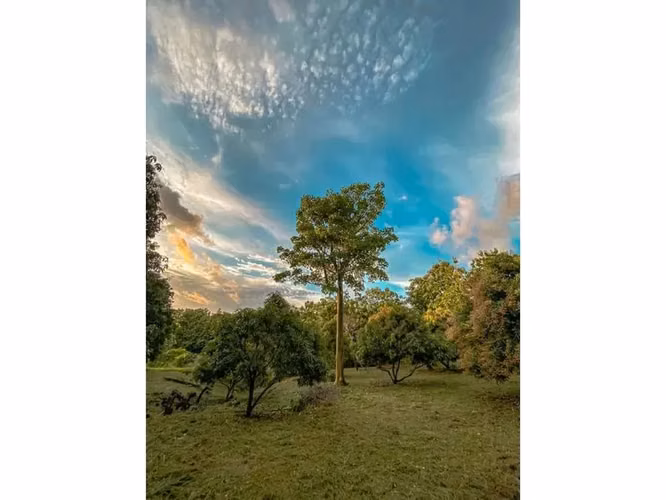 Terreno en Venta en Lagunilla, a 20 min de Jaco- ¡Construye la casa de tus sueños! - Imagen 2