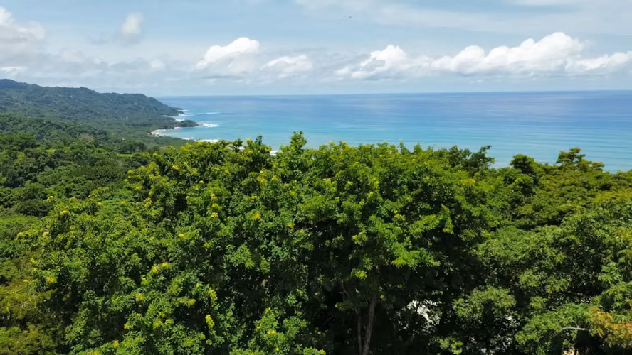 Build Your Dream Villa in Santa Teresa – Prime 1.181.5 m² Lot with Ocean view
