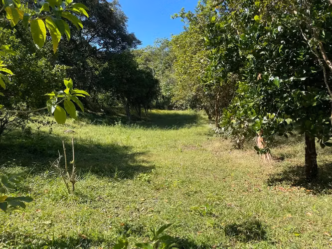 Venta / Lotes Impresionantes (Con Permiso de Uso Comercial), Ciudad Colón, San José - Imagen 7