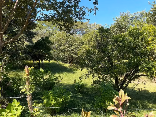 Venta / Impresionantes Lotes (Con Permiso para Uso Comercial), Ciudad Colón, San José - Imagen 11