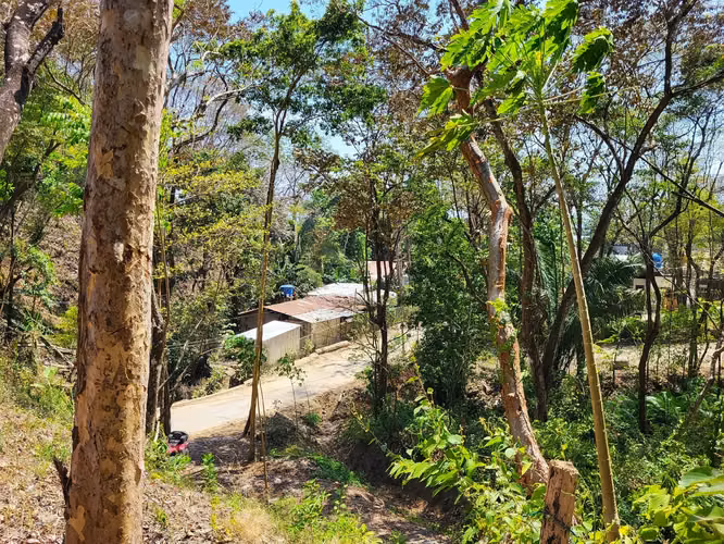 Lote de ensueño tropical de primera calidad en venta - Imagen 8