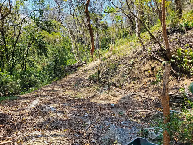 Lote de ensueño tropical de primera calidad en venta - Imagen 5