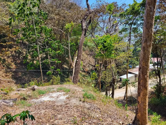 Lote de ensueño tropical de primera calidad en venta - Imagen 9