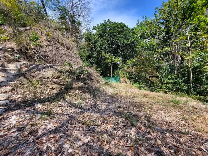 Lote de ensueño tropical de primera calidad en venta - Imagen 10