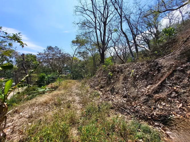 Lote de ensueño tropical de primera calidad en venta - Imagen 4