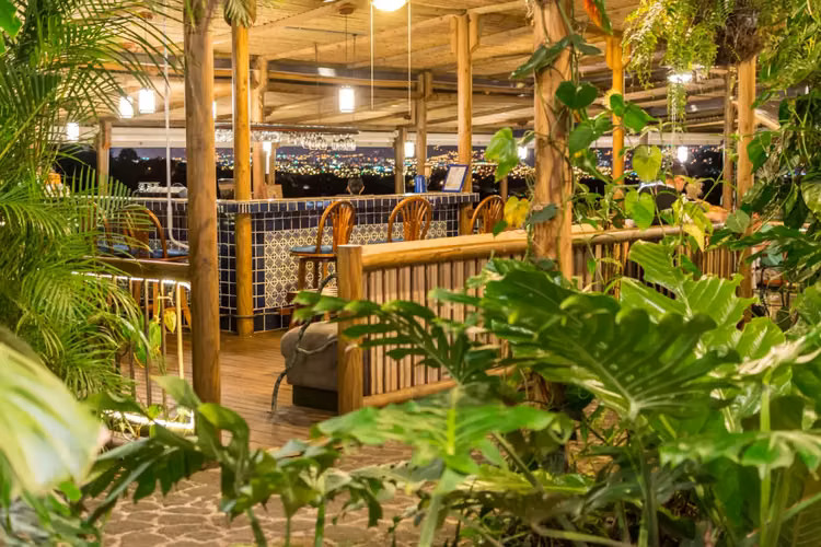 La finca de café orgánico de lujo y Hotel boutique líder en Costa Rica - Imagen 8