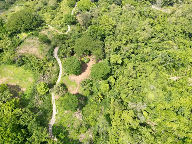 Encantador terreno de 9.800 m² rodeado de selva y naturaleza. Un remanso de paz cerca de Santa Teresa, Mal País y Cabuya. - Imagen 3