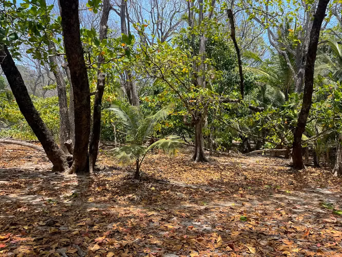 Lote frente al mar en el corazón de Santa Teresa listo para construir - Imagen 4