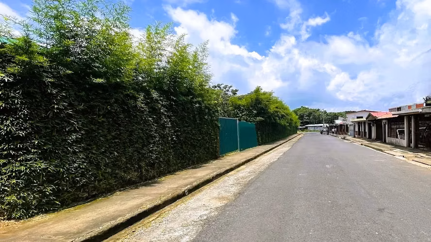 LOTE EN VENTA EN SAN JUAN, SAN RAMON - Imagen 2