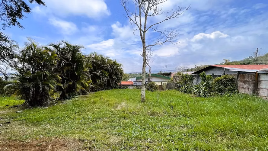LOTE EN VENTA EN SAN ISIDRO, SAN RAMON