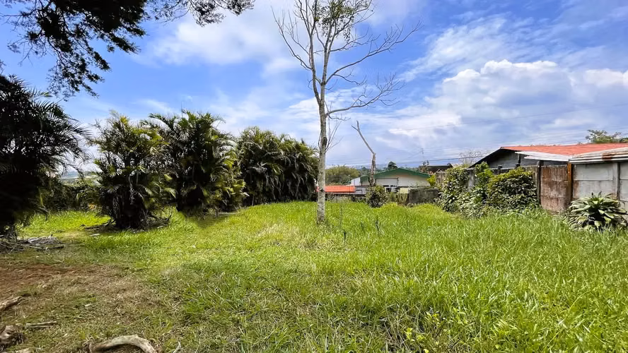 LOTE EN VENTA EN SAN ISIDRO, SAN RAMON - Imagen 2