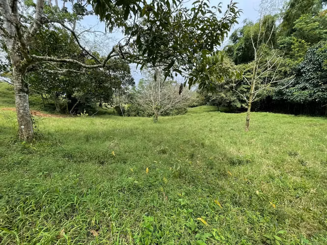 En venta: Finca para desarrollo en Puriscal - Imagen 6