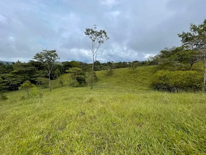 For Sale: Farm for development in Puriscal