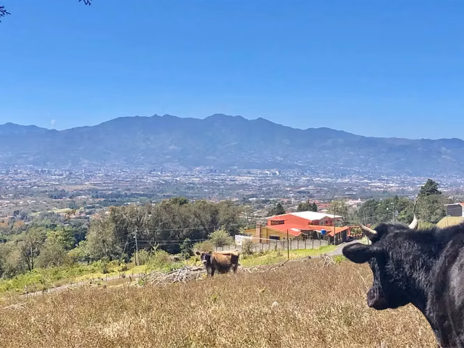 Venta / Hermoso Terreno (Con Permiso de Uso Comercial) San Isidro, Heredia - Imagen 10