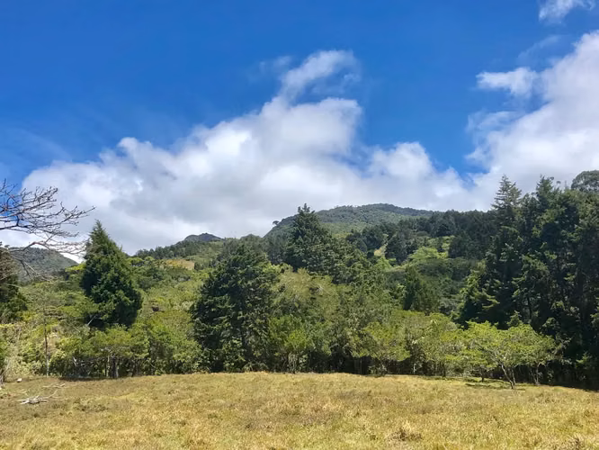 Venta / Hermoso Terreno (Con Permiso de Uso Comercial) San Isidro, Heredia - Imagen 2
