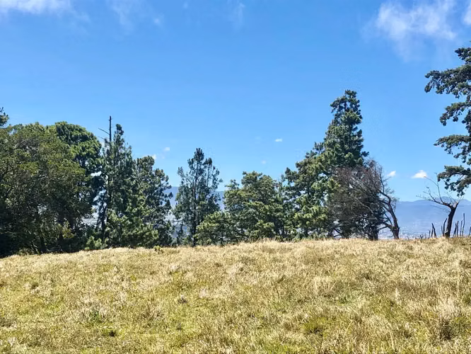 Venta / Hermoso Terreno (Con Permiso de Uso Comercial) San Isidro, Heredia - Imagen 8